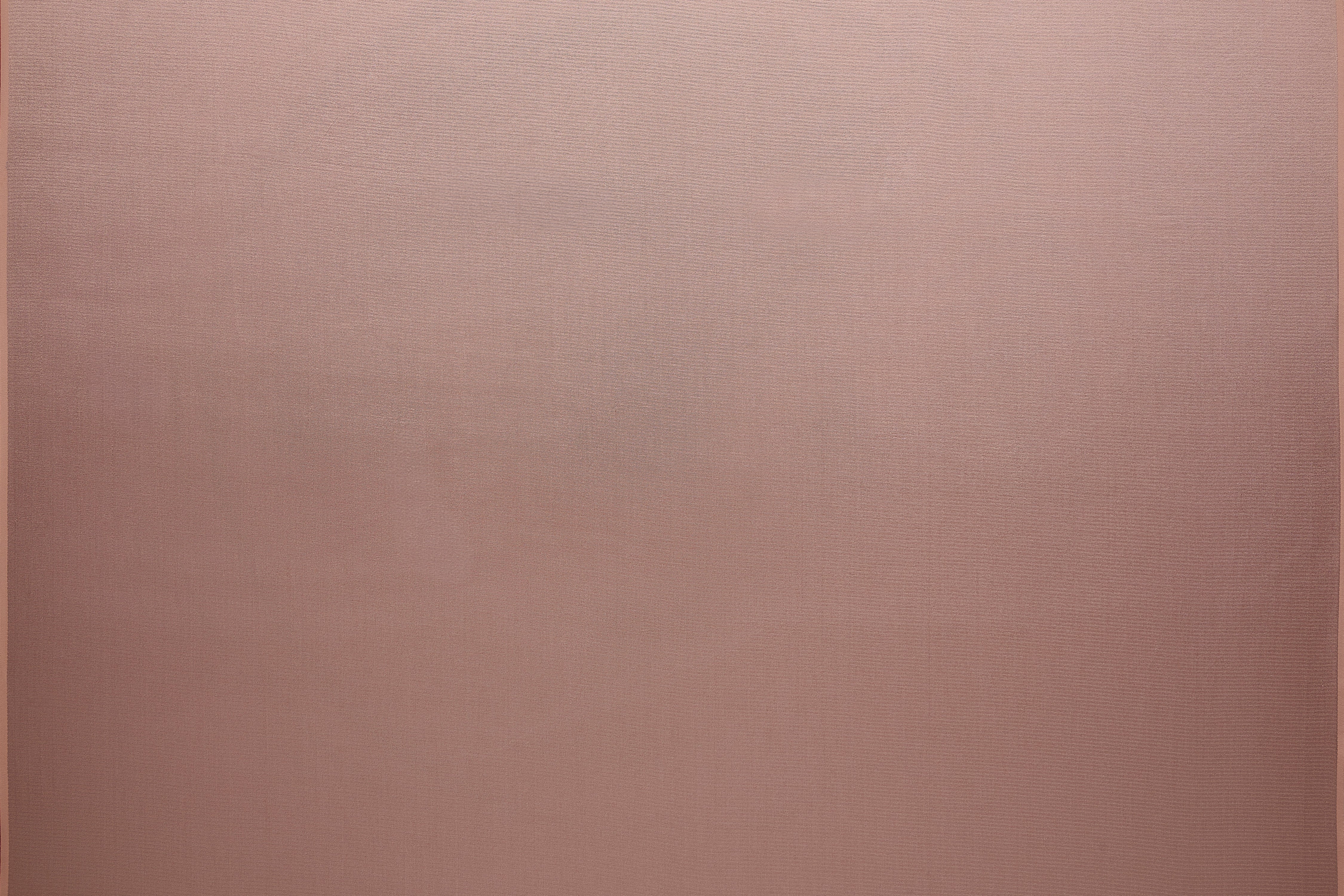 DOS 2 AKÇAAĞAÇ ŞEKERİ